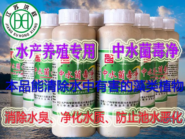 放大器外殼噴漆